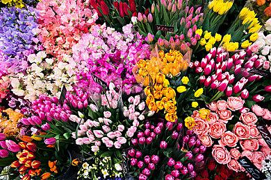 《Sand》即将进入抢先体验阶段 厂商提醒玩家谨防诈骗